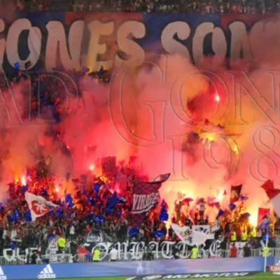 nombreux sont les ennemis, plus belles est la victoire 🦁