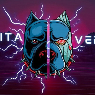 PITAVERSE Official Twitter Account 

https://t.co/PduJ6YBw3R