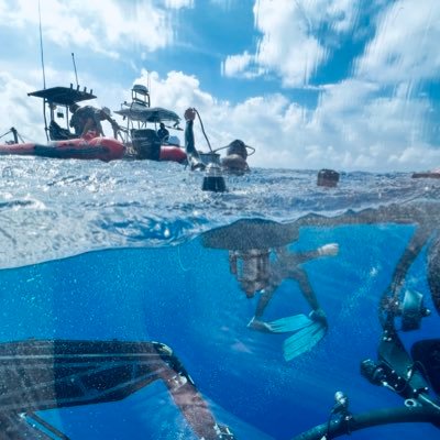 sboswick's profile picture. dum spiro spero