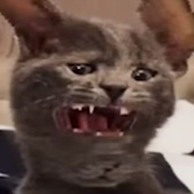 Heheさんのプロフィール画像