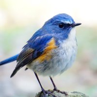 もくもく/WEBマーケティング勉強中 (@hmokulen) 's Twitter Profile