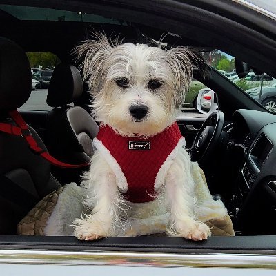 deryl_ford's profile picture. 