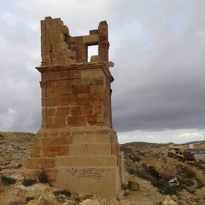 synltyb1's profile picture. 