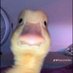7nooke (@xooxm686) Twitter profile photo 7nooke (@xooxm686) Twitter profile photo