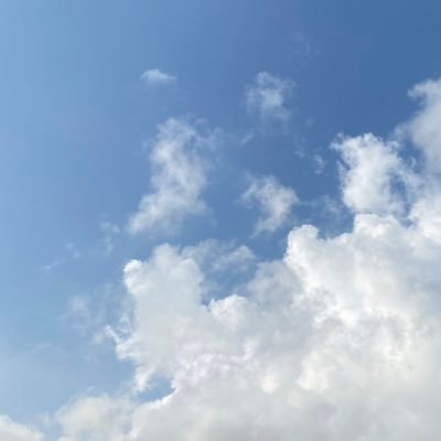 har_melin's profile picture. 