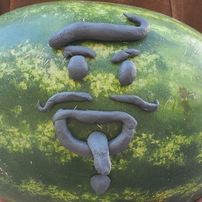 Imagine arguing with a watermelon named Nathon. You'd have to be some kind of moron.

Yeah.  You.