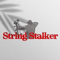 String Stalker ®(@stringstalker) 's Twitter Profile Photo