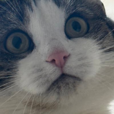 187666420yes's profile picture. Nee