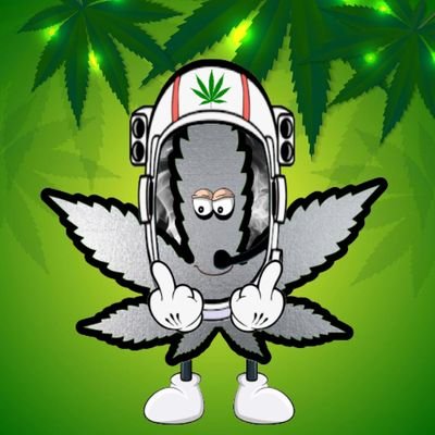 If you like Nfts and you like cannabis then you have come to the right place. 
Become one of 4200 leaves on the blockchain.
https://t.co/lgjupPZhDW