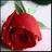 Iyunah's profile image