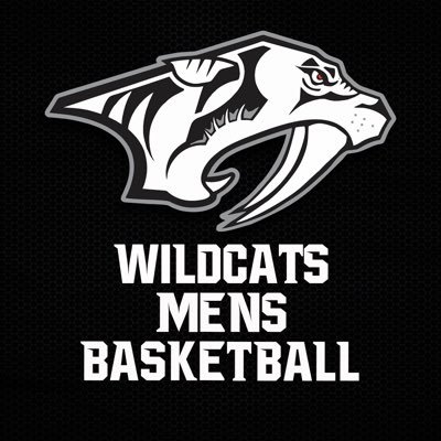 The official twitter handle of the Plymouth Wildcats Mens Basketball Program. #WEarePlymouth