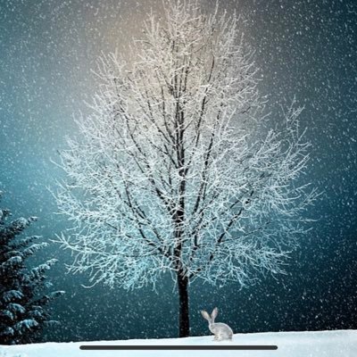 livialiving22's profile picture. 