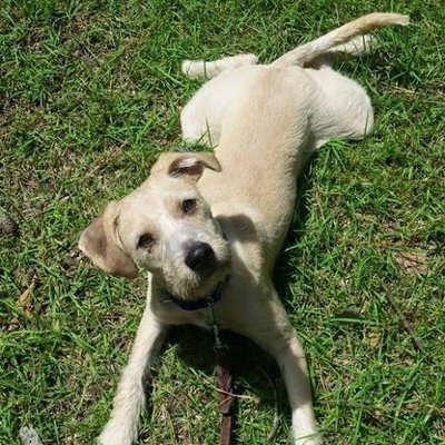 MannyFe13589725's profile picture. 