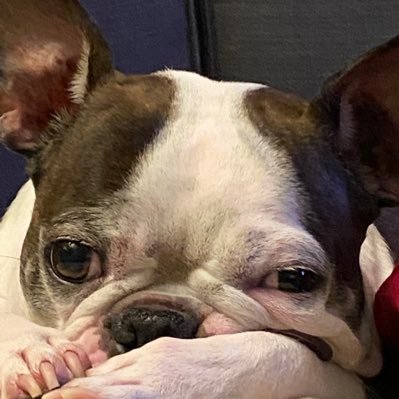 George680's profile picture. 