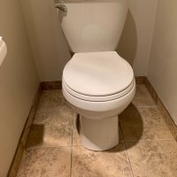 Moving On (@sophiethecat3) 's Twitter Profile