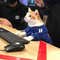Livid (@lividvii) 's Twitter Profile
