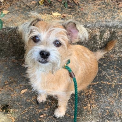 dixie_czyk's profile picture. waymond wang appreciation society