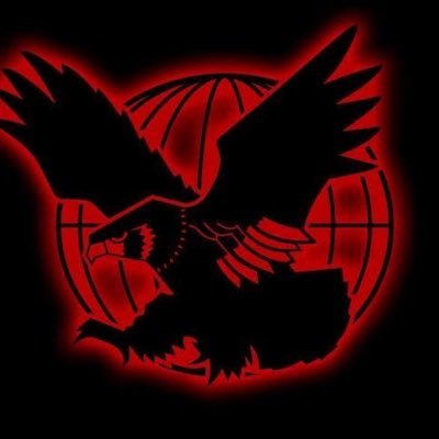 SEO28285223's profile picture. ファルコン