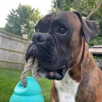 Warren (@warrenshoebox) 's Twitter Profile