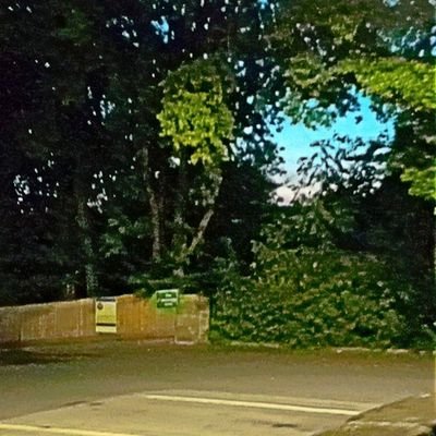 grace_29x's profile picture. 