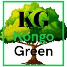 KONGOGREEN Association environmental qui lutte pour
la protection de l’environnement et des équilibres fondamentaux de la biosphère ainsi qu’une éducation vert
