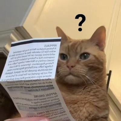 Pvrrrkitty's profile picture. Just a confused neurodivergent cat  🌸🦇