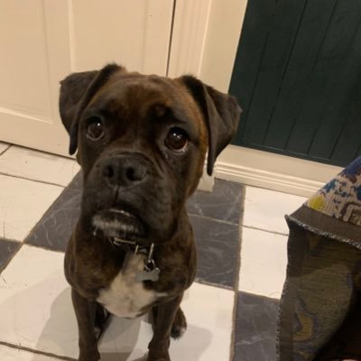 dgfaheydesign's profile picture. My sense of humour