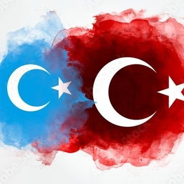 tl9d319L1Ie64RS's profile picture. 