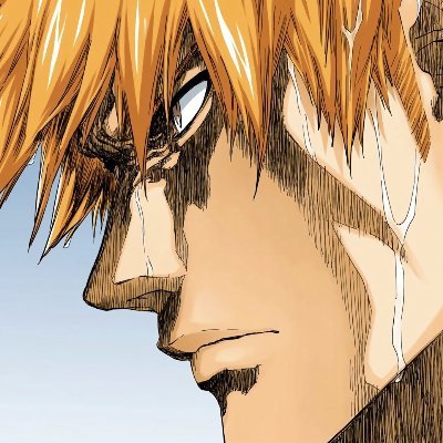 BLEACH Profile