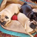 Michael Lowes - @MichaelLowes17 - Twitter