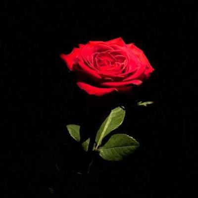 XavieBest's profile picture. 