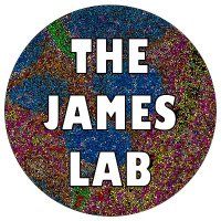 JamesLab (@jameslabokla) 's Twitter Profile