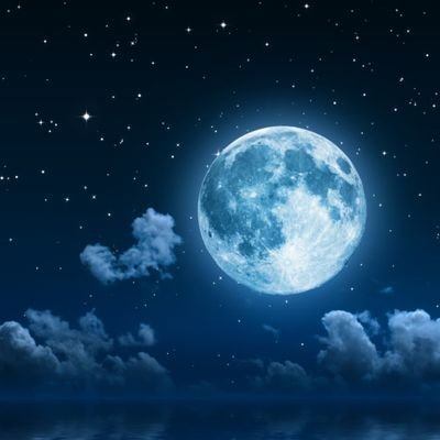 Mya56537212's profile picture. Student/and designer