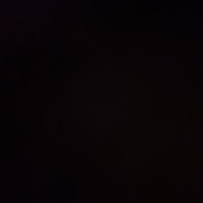 danzzx1k's profile picture. 