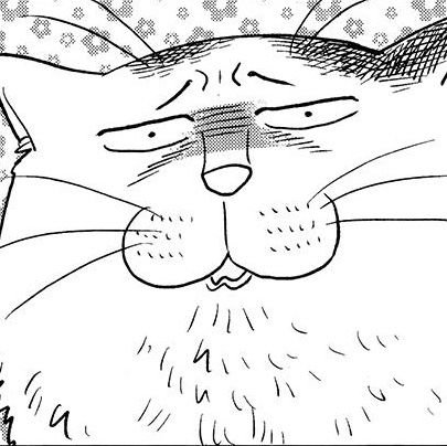 I eat glass (uni finals for two weeks)さんのプロフィール画像
