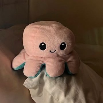 キアン ロロノア 💚🍥さんのプロフィール画像