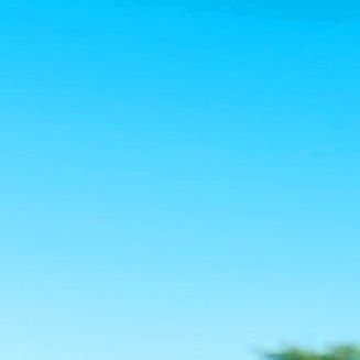 uniquement81's profile picture. BIO still under construction. 🫠