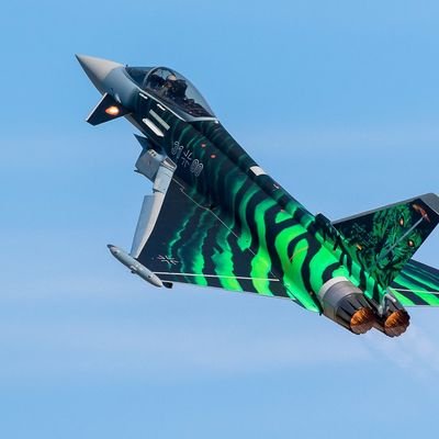 Toby29395662's profile picture. 