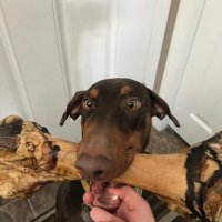 Albertagirl67 (@albertagurl67) 's Twitter Profile