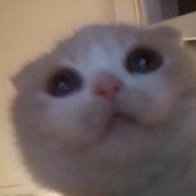 Mentally ill but like... in a fun way (this is a lie, I am extremely mentally unwell)