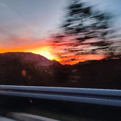 Josipquijote's profile picture. Homo Sapiens in time of Artificial Intelligence.