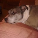 teresa smart - @teresasmart1 - Twitter