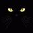 i_ba_l's profile image