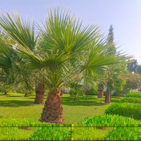 رجل من أقصى المدينة (@saudisaid2) 's Twitter Profile Photo رجل من أقصى المدينة (@saudisaid2) 's Twitter Profile Photo