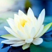 Ha (@ha07056549) Twitter profile photo