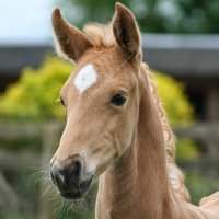 Sarah Ashford (@sashford73) 's Twitter Profile Photo