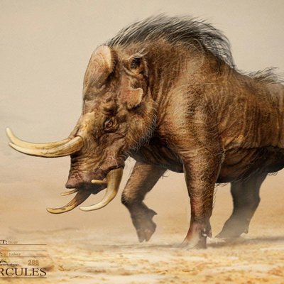 m5IQPjvqrexNy0W's profile picture. Playmaker at @dagoats6 
Startups | Web3Products | SportTech