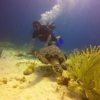Yuang Sun (@sunmicrobe) 's Twitter Profile