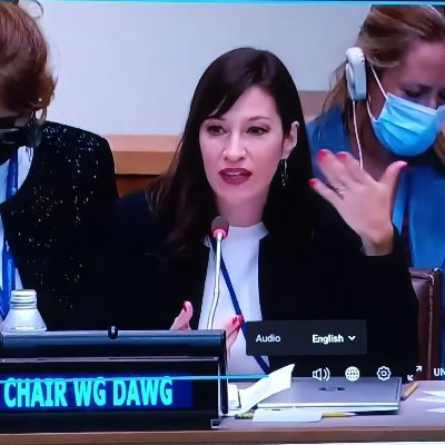 UN Working Group on Discrimination vs Women and Girls @UN_WGDAWG
De CDMX. Profa. DºIntern'l, Clínica Jur. @fderechomur
Mother, wife, dessert lover.
Own views