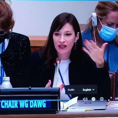 Chair UN Working Group on Discrimination against Women and Girls. 
De CDMX. Profa. Dº Intern'l, Clínica Jur. @fderechomur
Mother, wife, dessert lover.
Own views